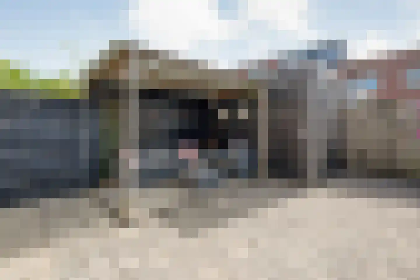 Struweelstraat 9 Zwolle thumbnail 33