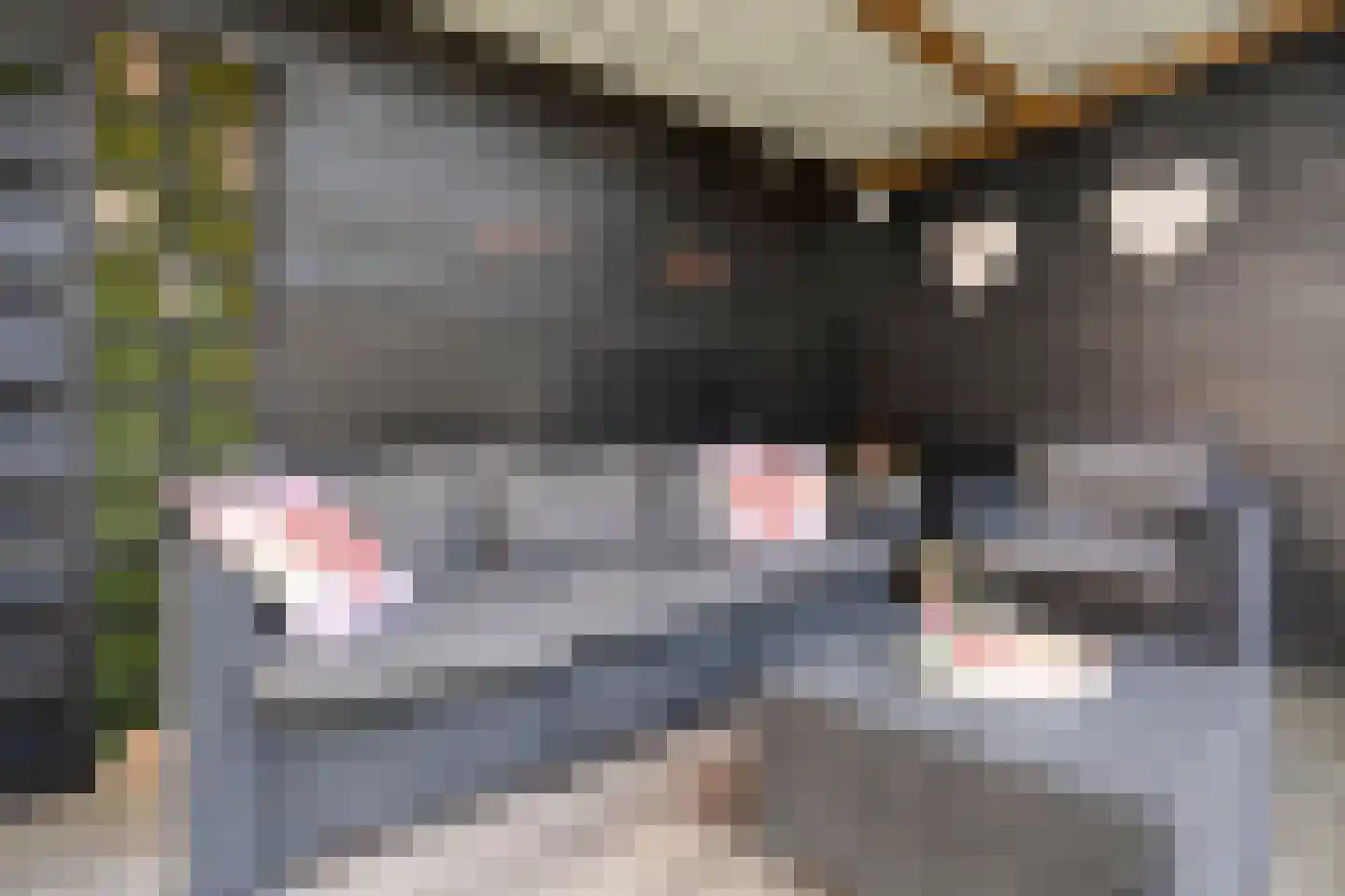 Struweelstraat 9 Zwolle thumbnail 34
