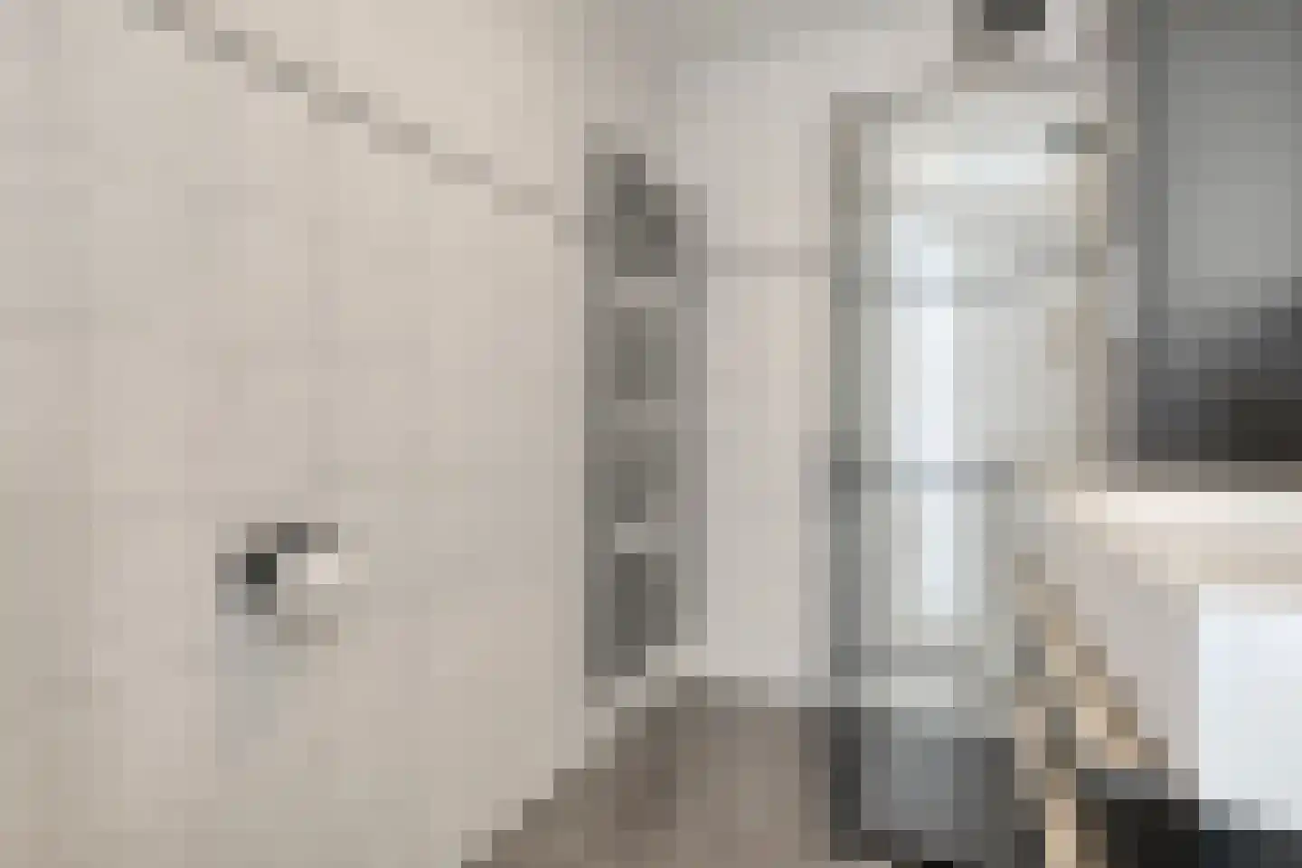 Struweelstraat 9 Zwolle thumbnail 6