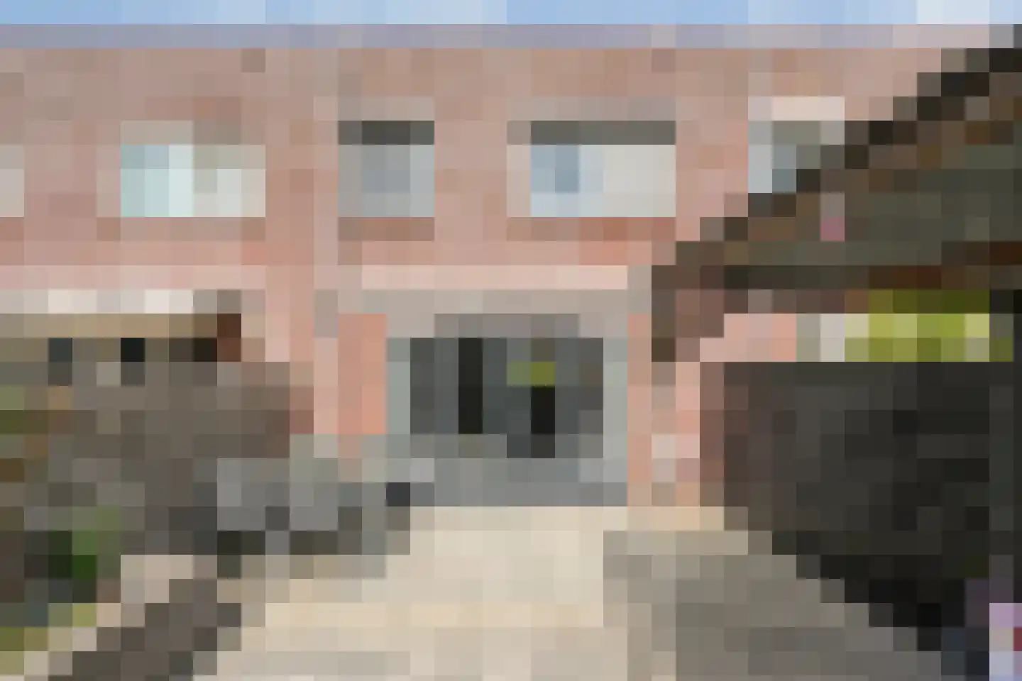 Struweelstraat 9 Zwolle thumbnail 8