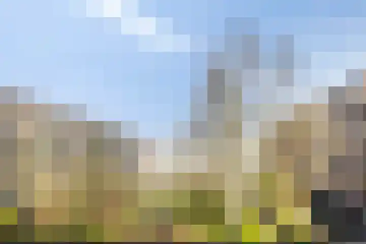 Struyckenlaan 25 Utrecht thumbnail 18
