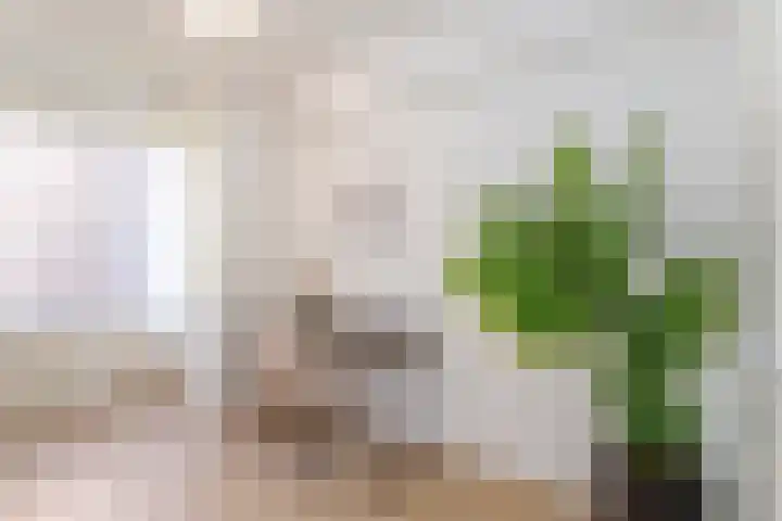 Struyckenlaan 7 Utrecht thumbnail 17