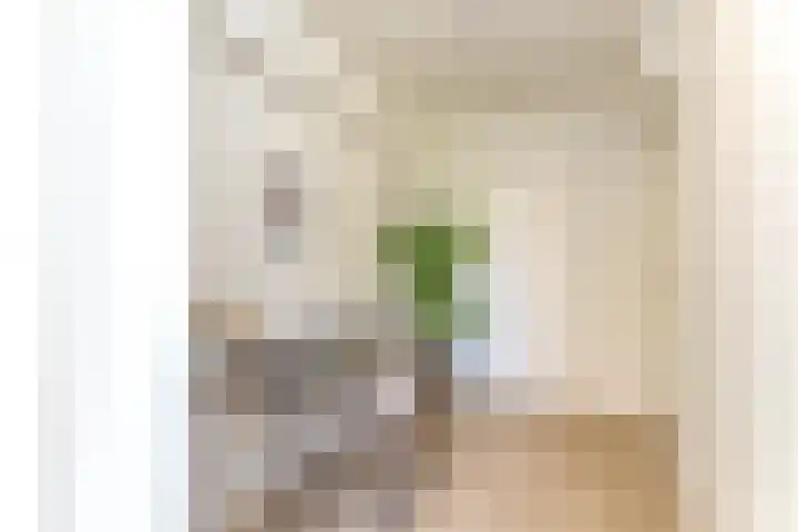 Struyckenlaan 7 Utrecht thumbnail 18