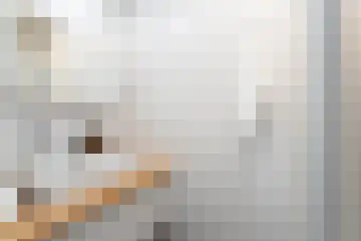 Struyckenlaan 7 Utrecht thumbnail 20