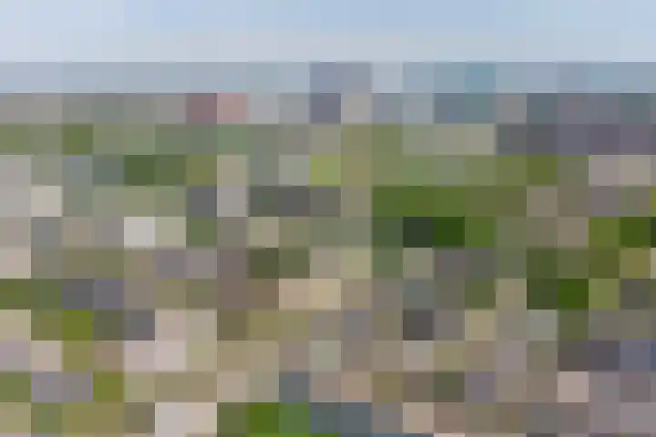 Struyckenlaan 7 Utrecht thumbnail 28