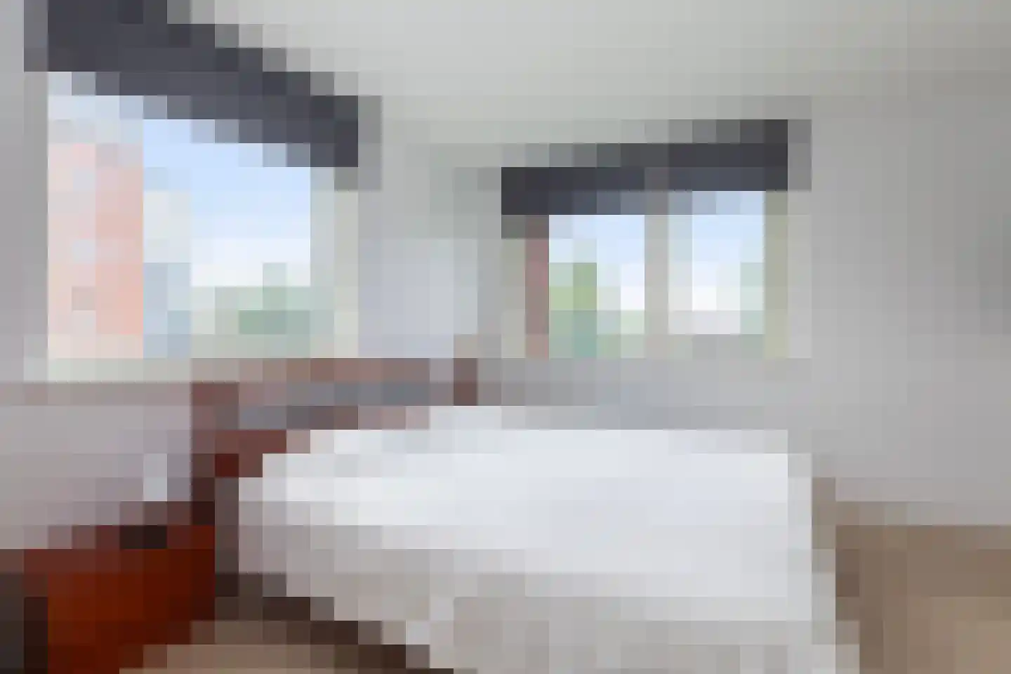Struyckstraat 25 Vlaardingen thumbnail 12