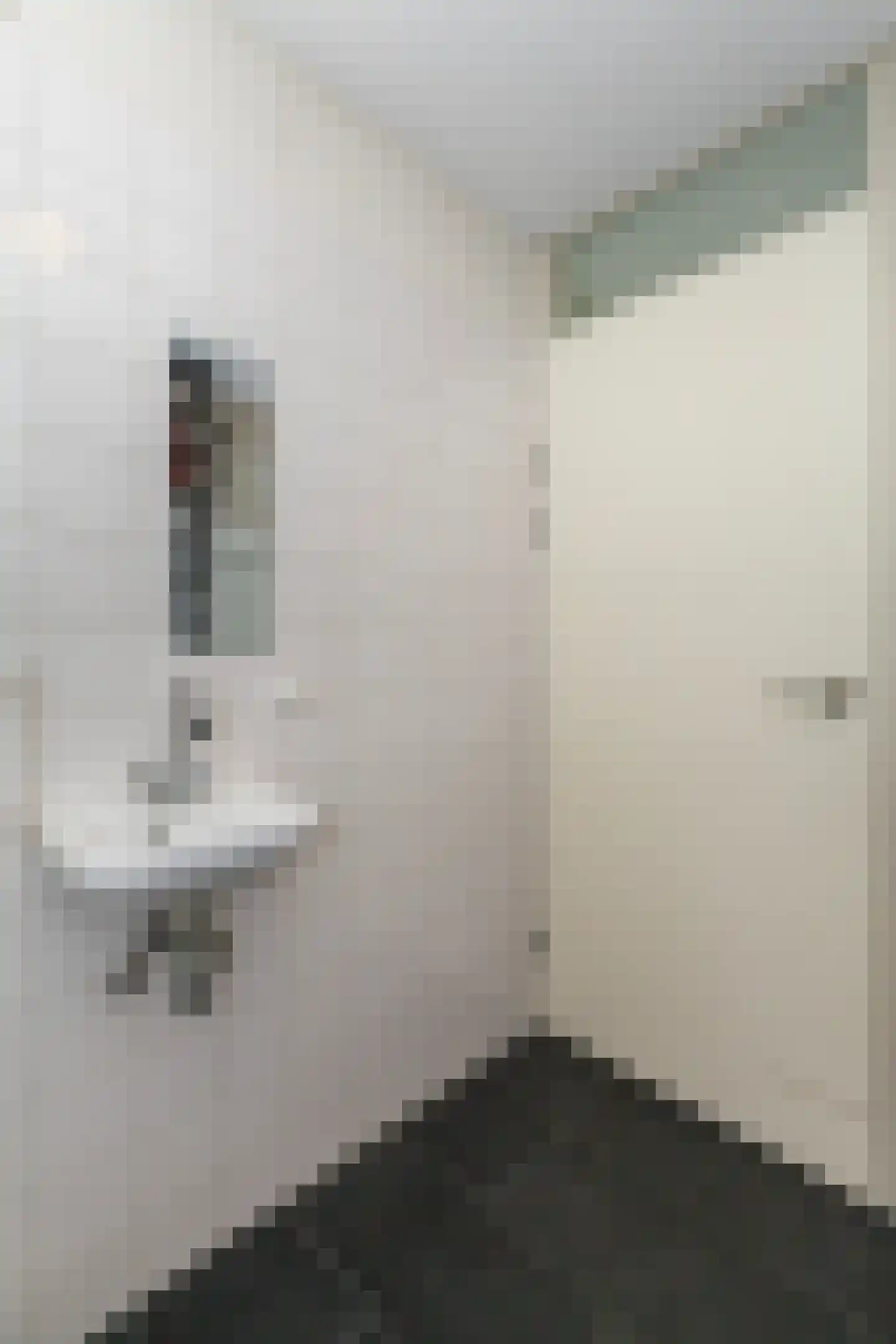 Struyckstraat 25 Vlaardingen thumbnail 38