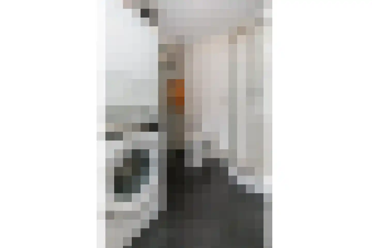 Struyckstraat 25 Vlaardingen thumbnail 39