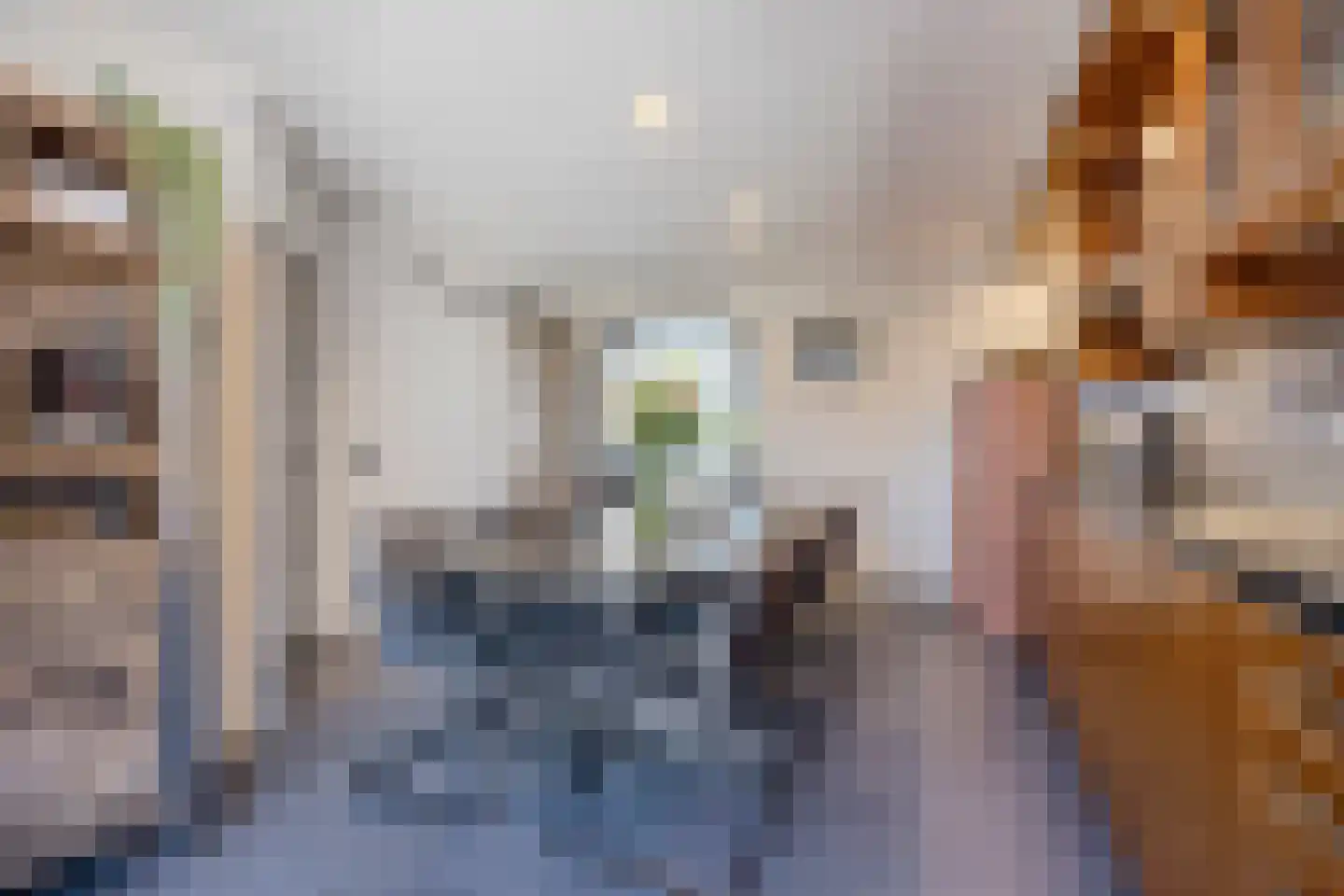 Struytse Hoeck 123 Hellevoetsluis thumbnail 13
