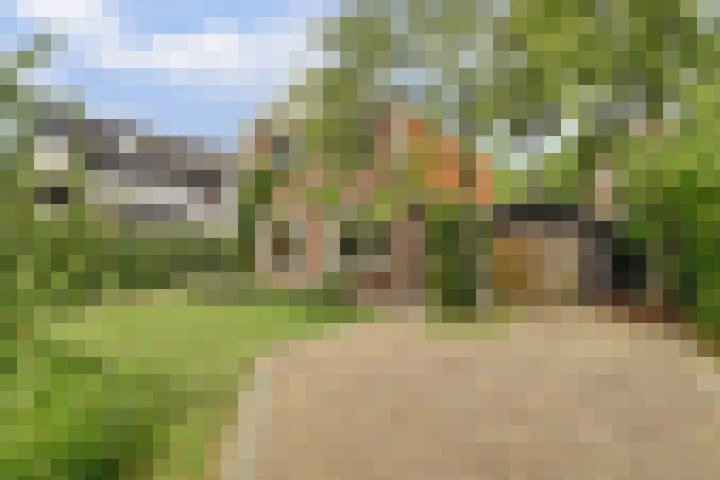 Strypsedijk 46 Tinte thumbnail 5