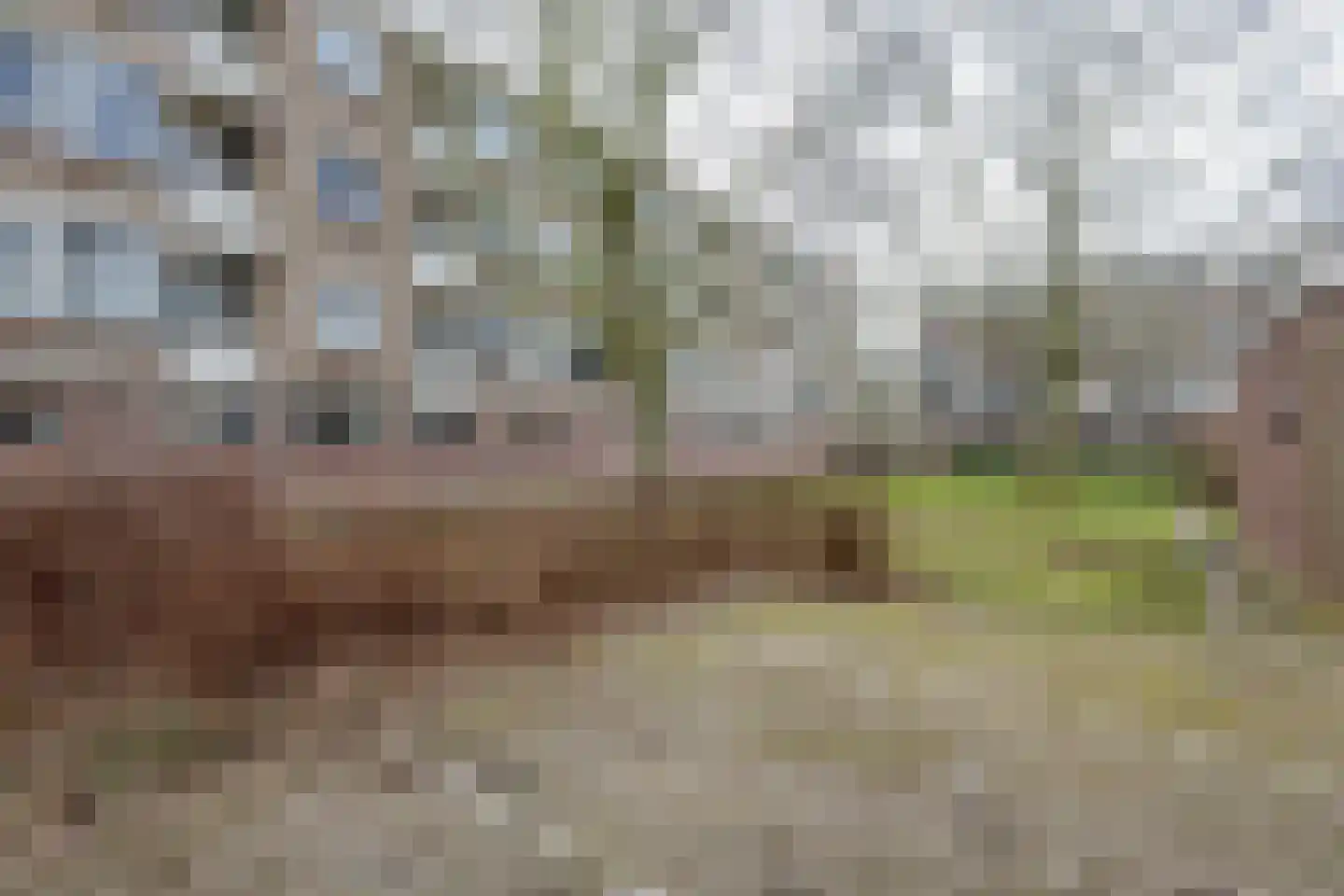Stuart Millpad 77 Rotterdam thumbnail 29