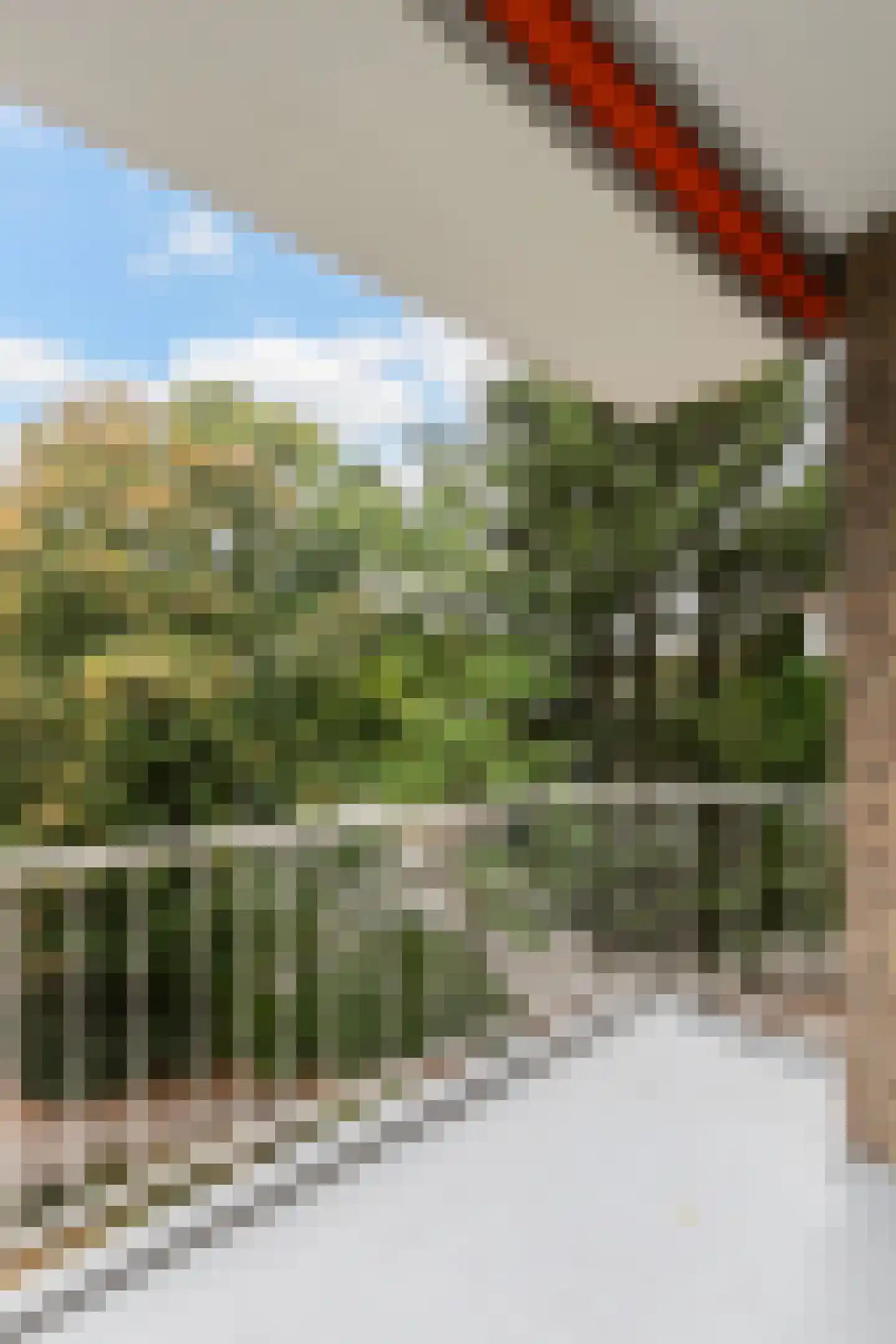 Stuart Millpad 81 Rotterdam thumbnail 7