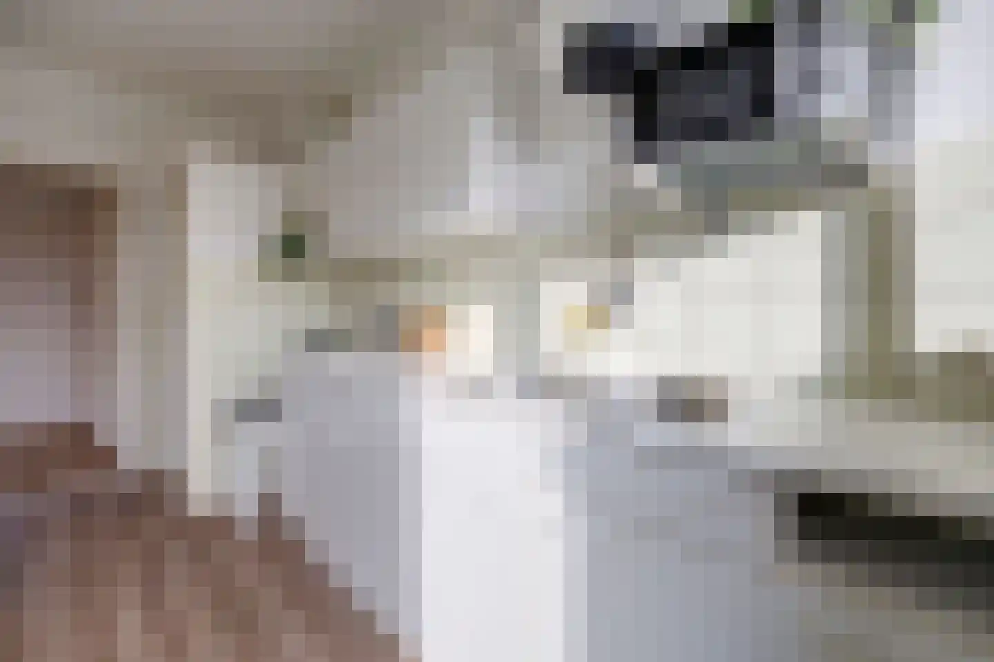 Stuart Millstraat 14 Rotterdam thumbnail 12