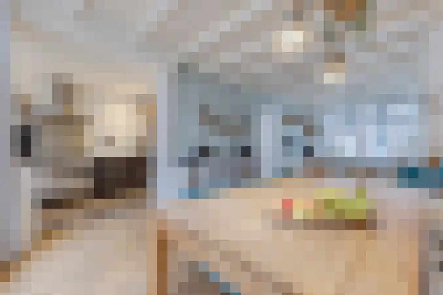 Stuartstraat 111 Alkmaar thumbnail 10