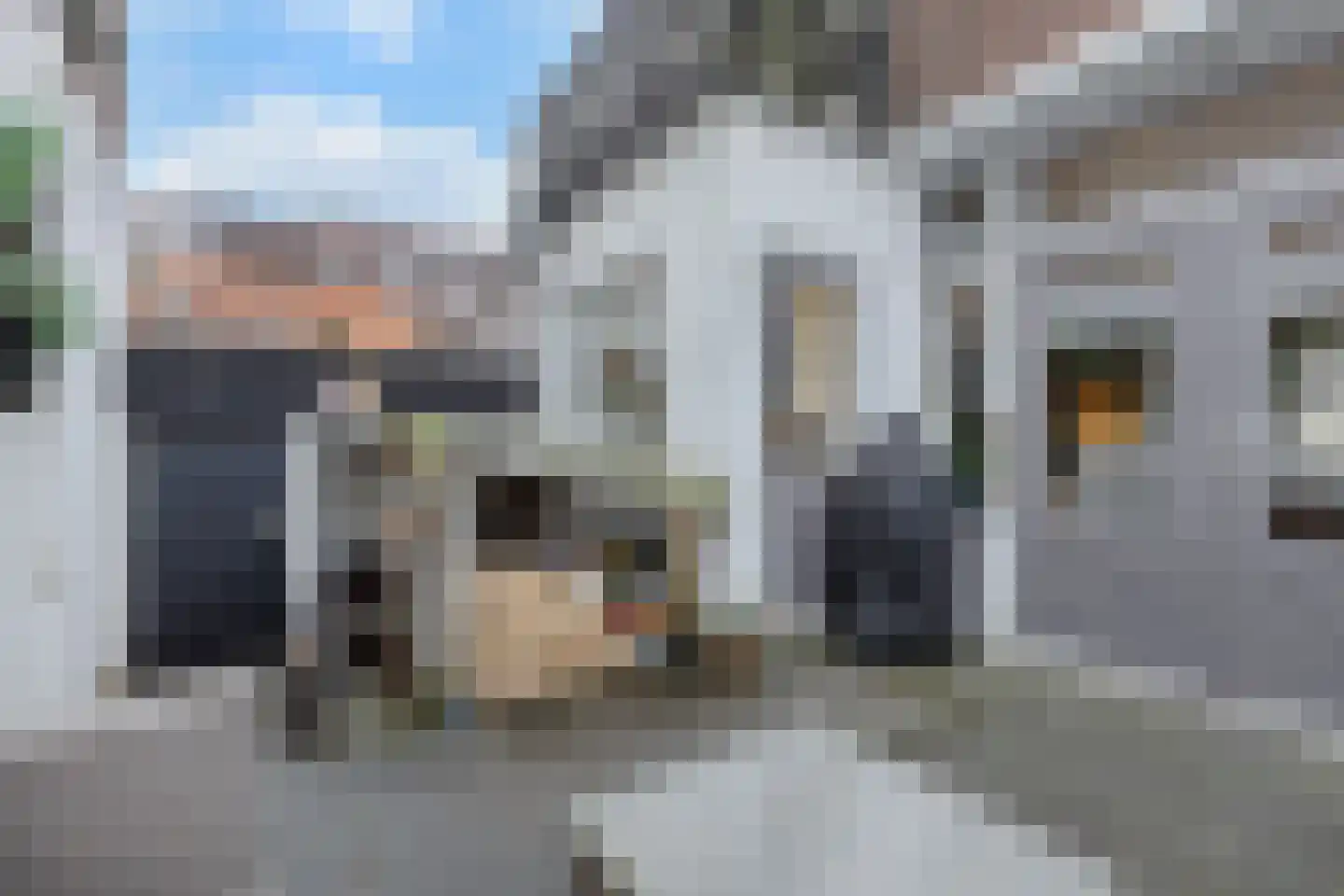 Stuartstraat 111 Alkmaar thumbnail 14