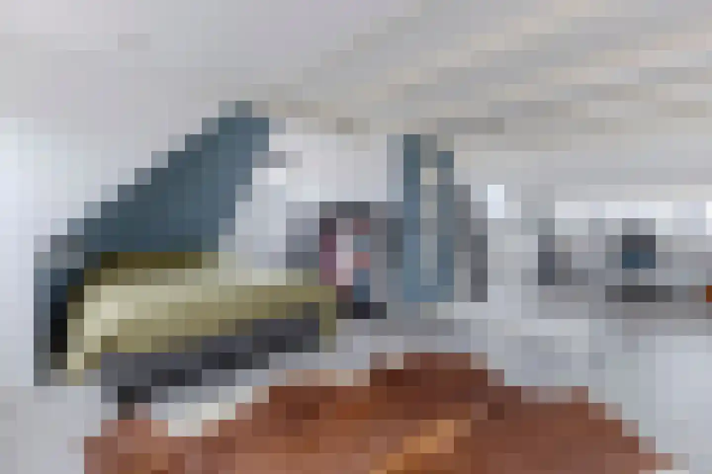 Stuartstraat 111 Alkmaar thumbnail 31
