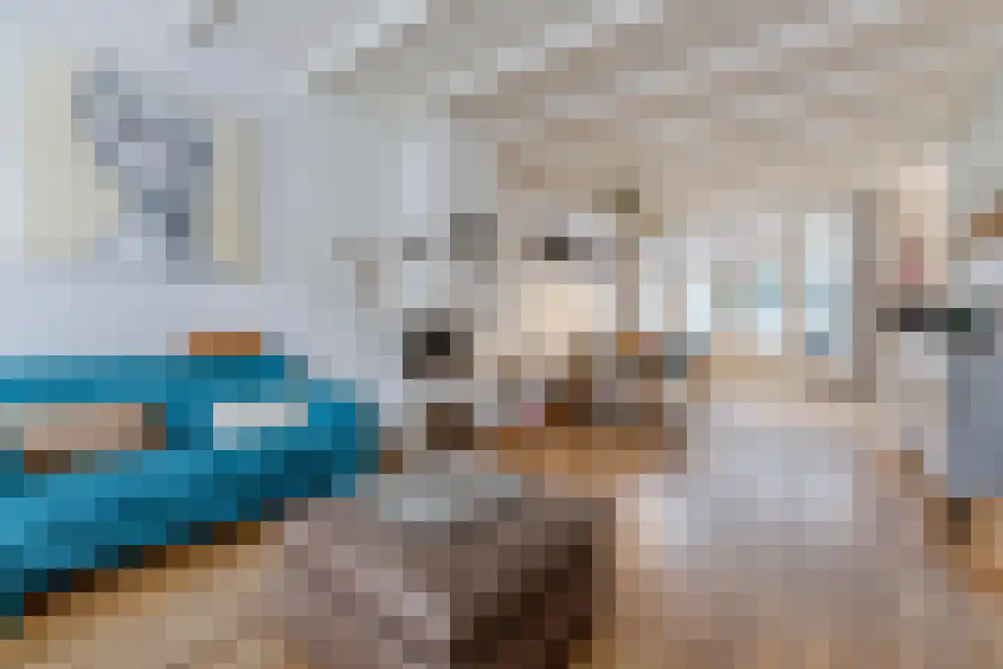 Stuartstraat 111 Alkmaar thumbnail 8