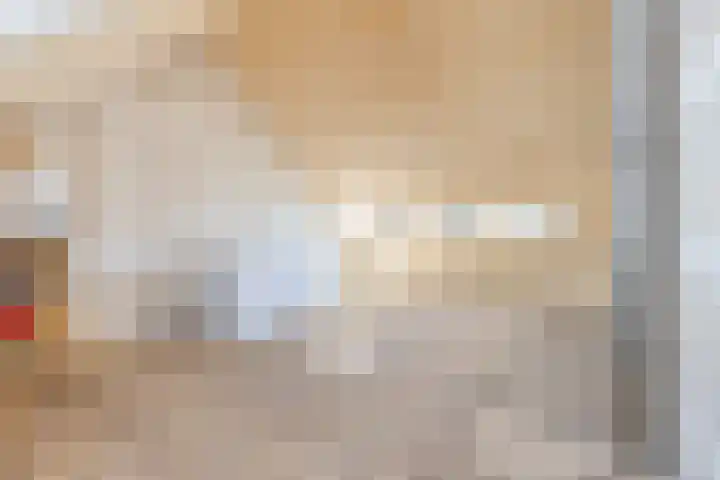 Stuartstraat 51 Alkmaar thumbnail 26