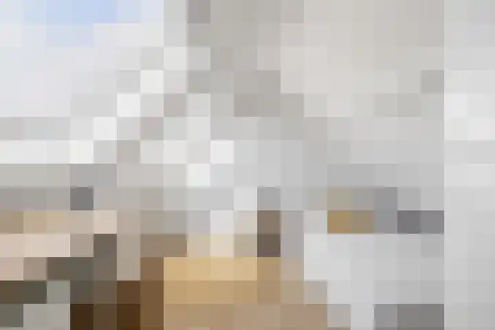 Stuartstraat 71 Alkmaar thumbnail 28