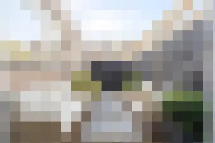 Stuartstraat 71 Alkmaar thumbnail 4
