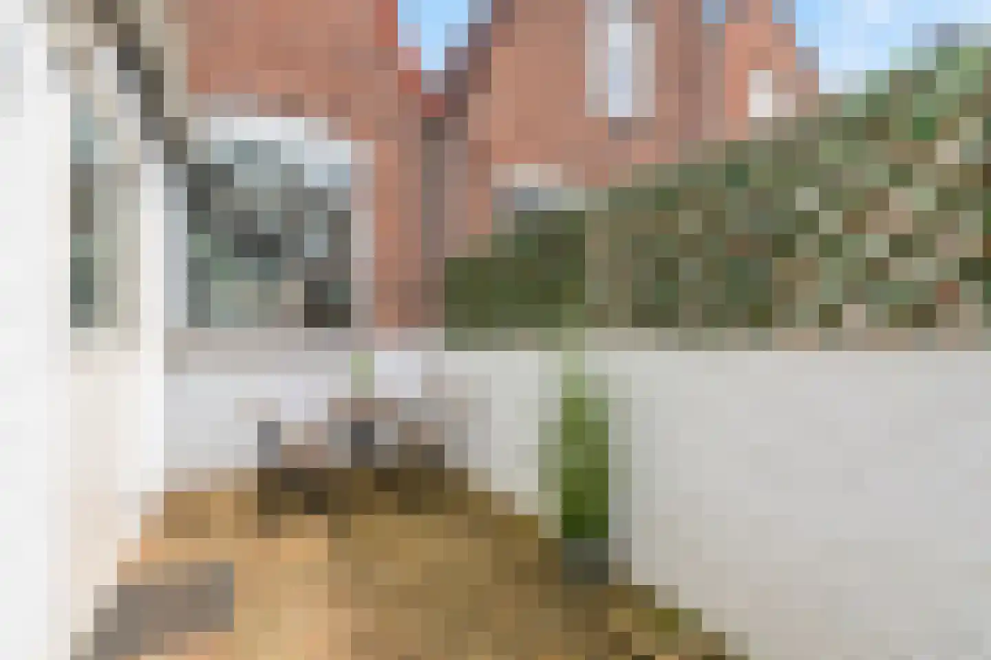 Stuartstraat 78 Alkmaar thumbnail 28
