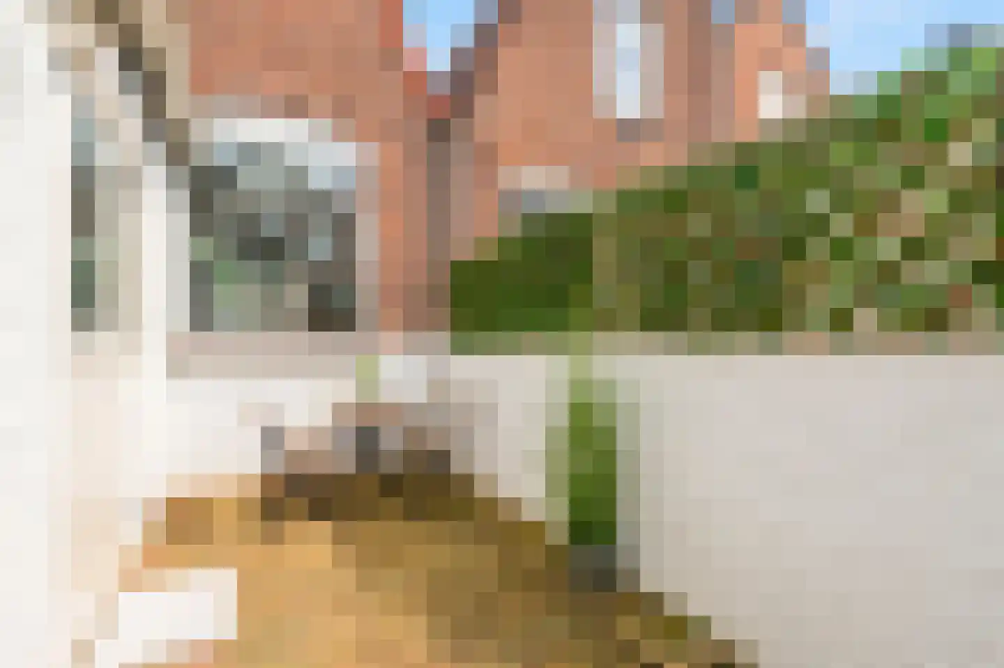 Stuartstraat 78 Alkmaar thumbnail 31