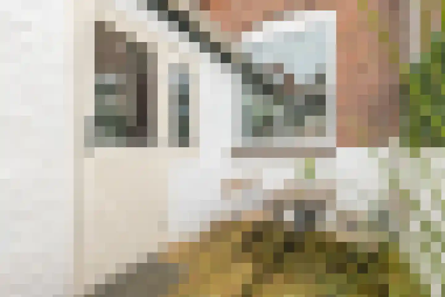 Stuartstraat 78 Alkmaar thumbnail 32