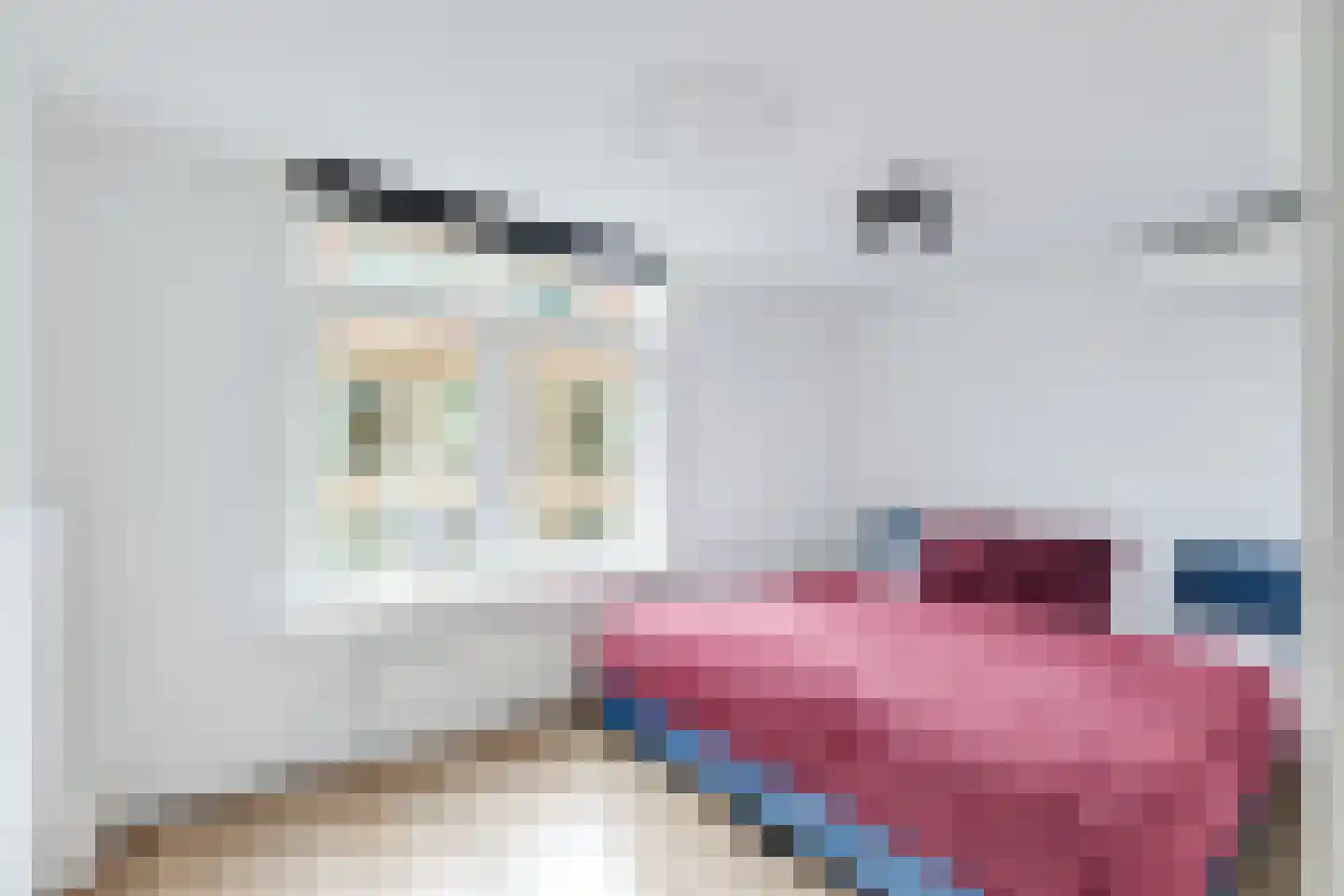 Stuartstraat 78 Alkmaar thumbnail 35