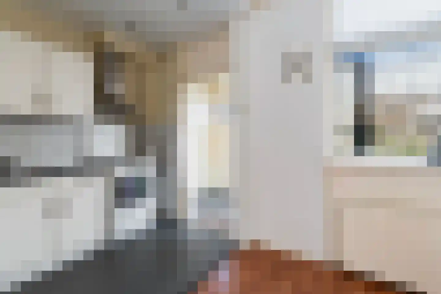 Stuartstraat 86 Alkmaar thumbnail 8