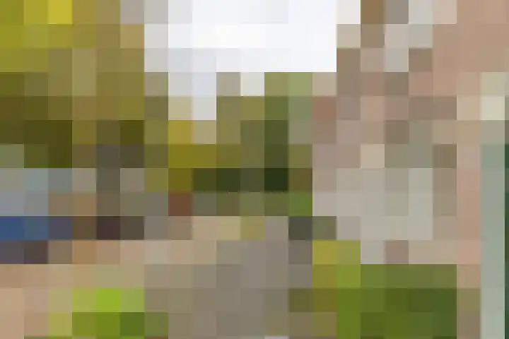 Studentenlaan 12 a Groningen thumbnail 18