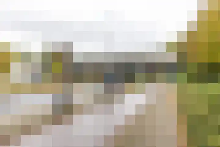 Studentenlaan 12 a Groningen thumbnail 21