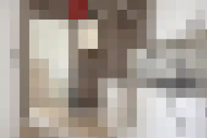 Studentenlaan 12 Groningen thumbnail 10