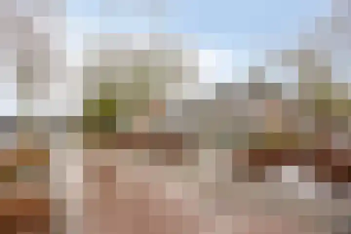 Studentenlaan 12 Groningen thumbnail 14