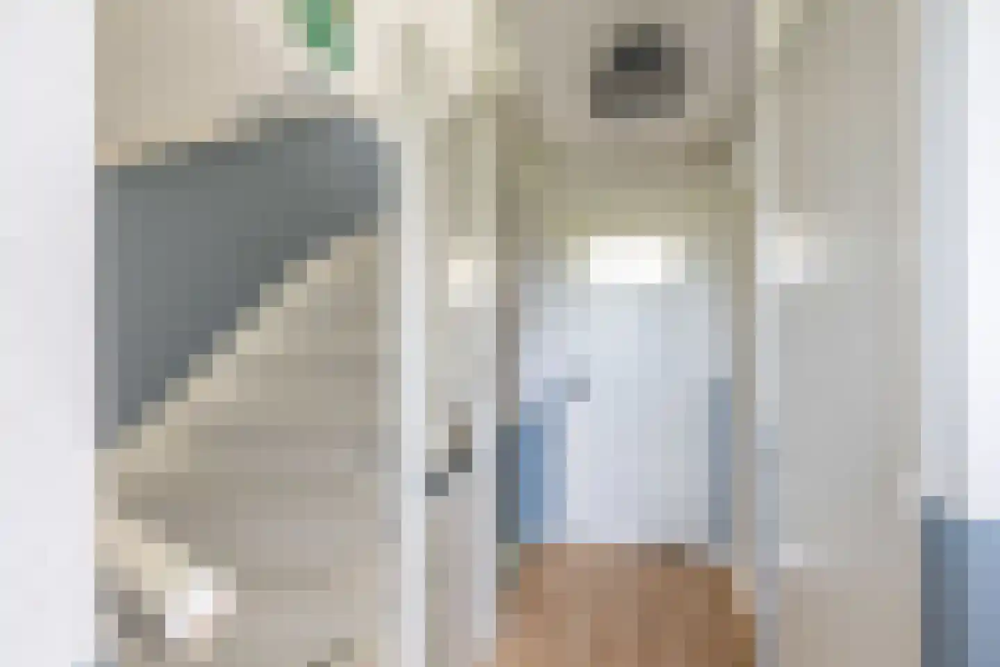 Studentenlaan 28 Groningen thumbnail 20