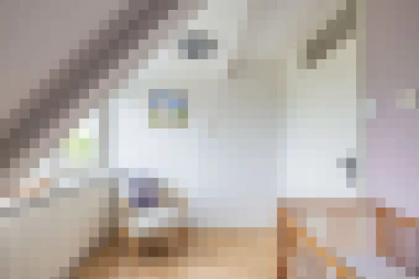 Studentenlaan 28 Groningen thumbnail 32