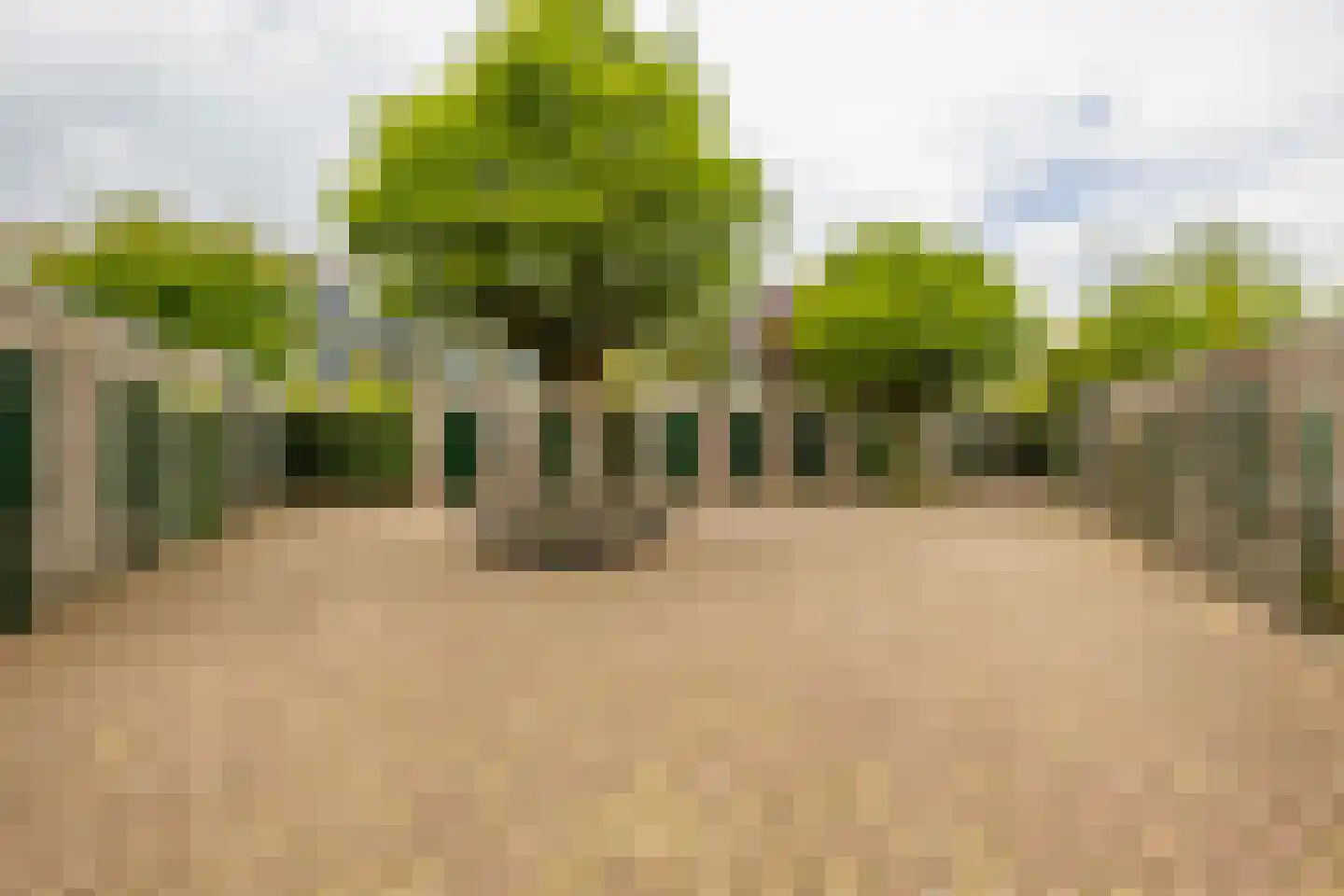 Studentenlaan 28 Groningen thumbnail 42