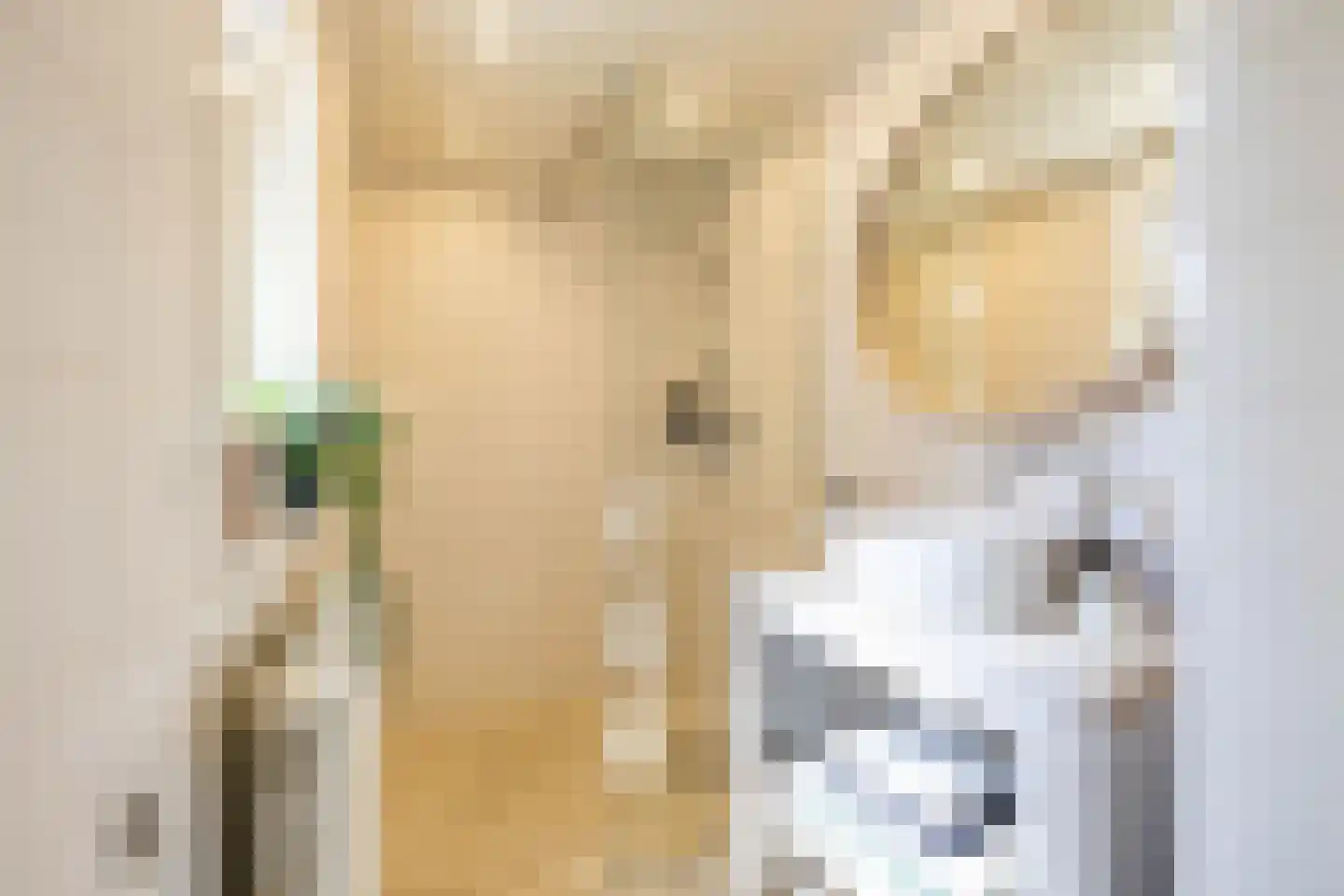 Studentenlaan 38 Groningen thumbnail 17