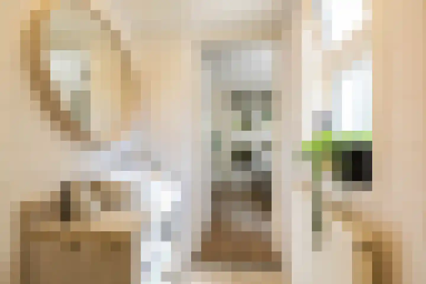 Studentenlaan 38 Groningen thumbnail 18