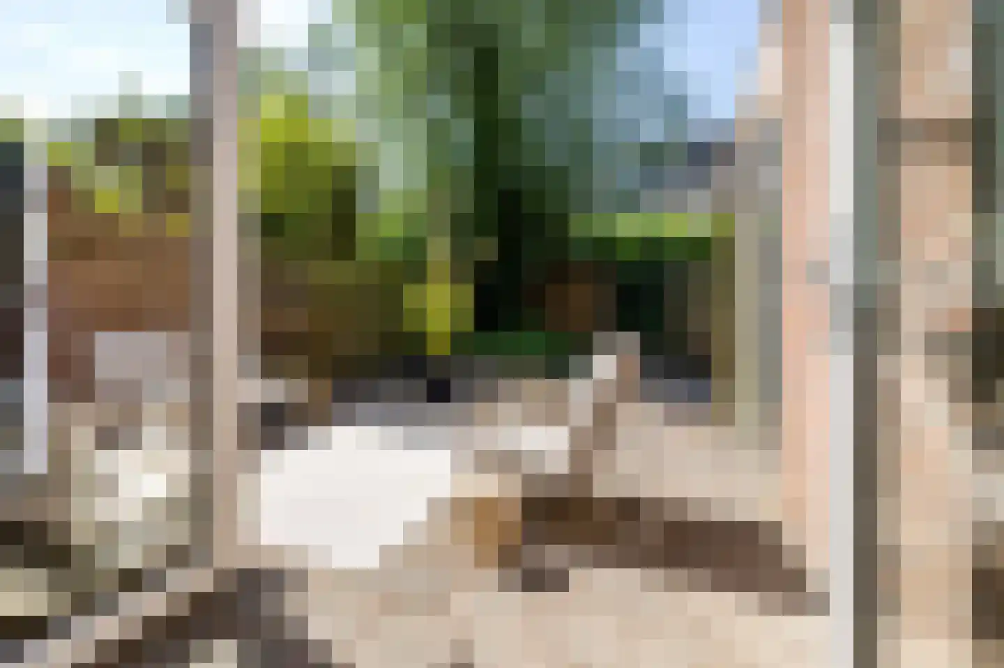 Studentenlaan 38 Groningen thumbnail 20
