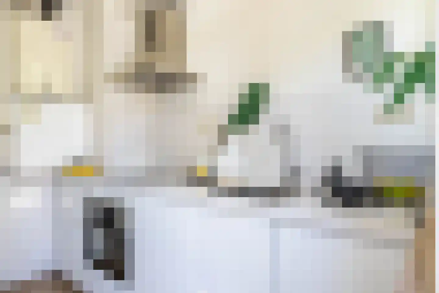Studentenlaan 38 Groningen thumbnail 27