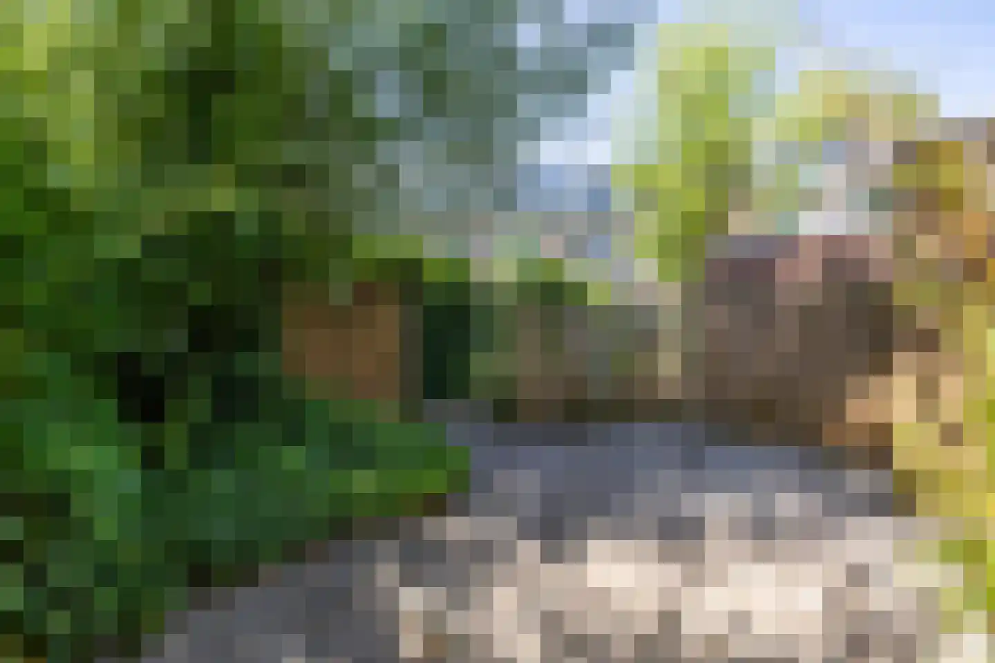Studentenlaan 38 Groningen thumbnail 31
