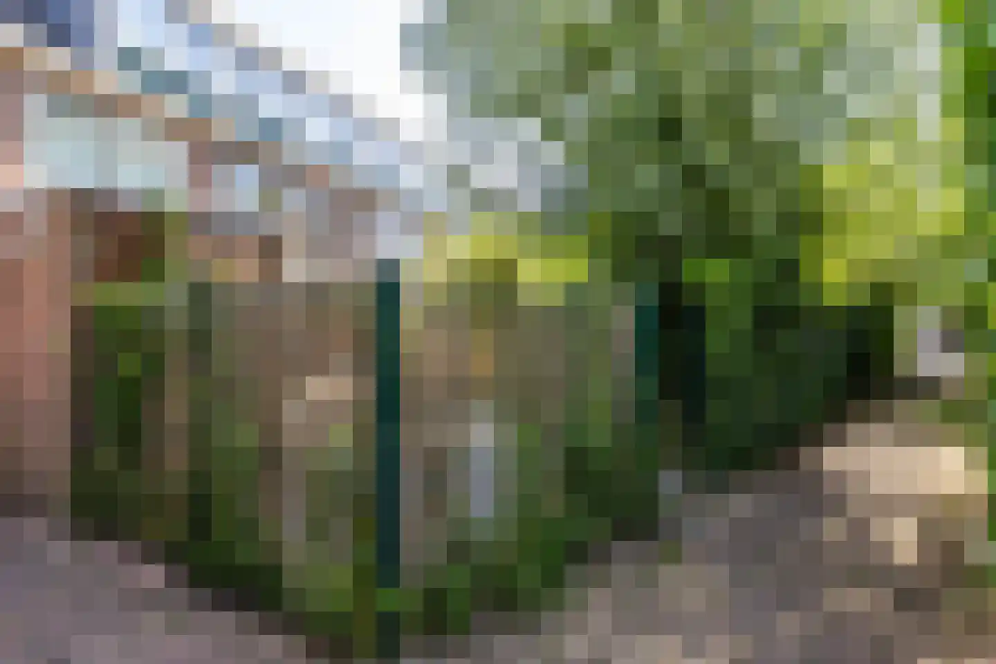 Studentenlaan 38 Groningen thumbnail 34