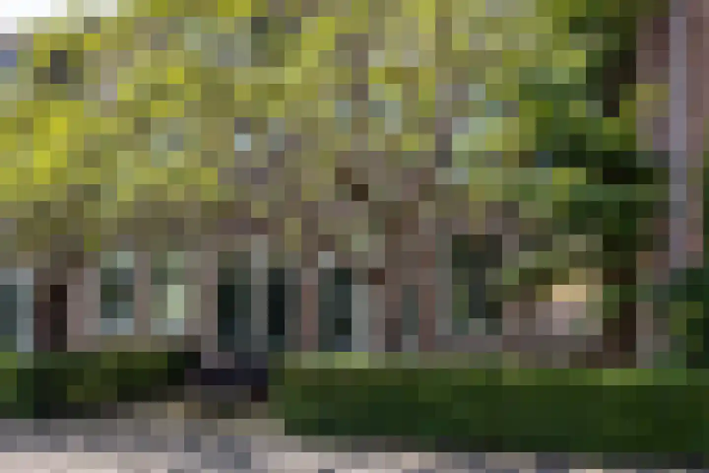 Studentenlaan 38 Groningen thumbnail 35