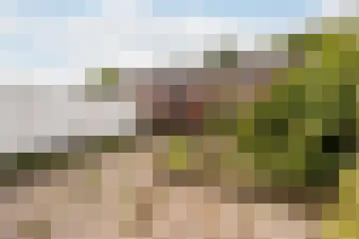 Studiostraat 32 Huizen thumbnail 20