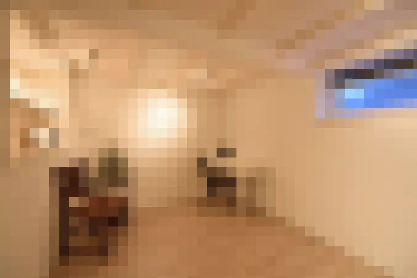 Studiostraat 36 Huizen thumbnail 10