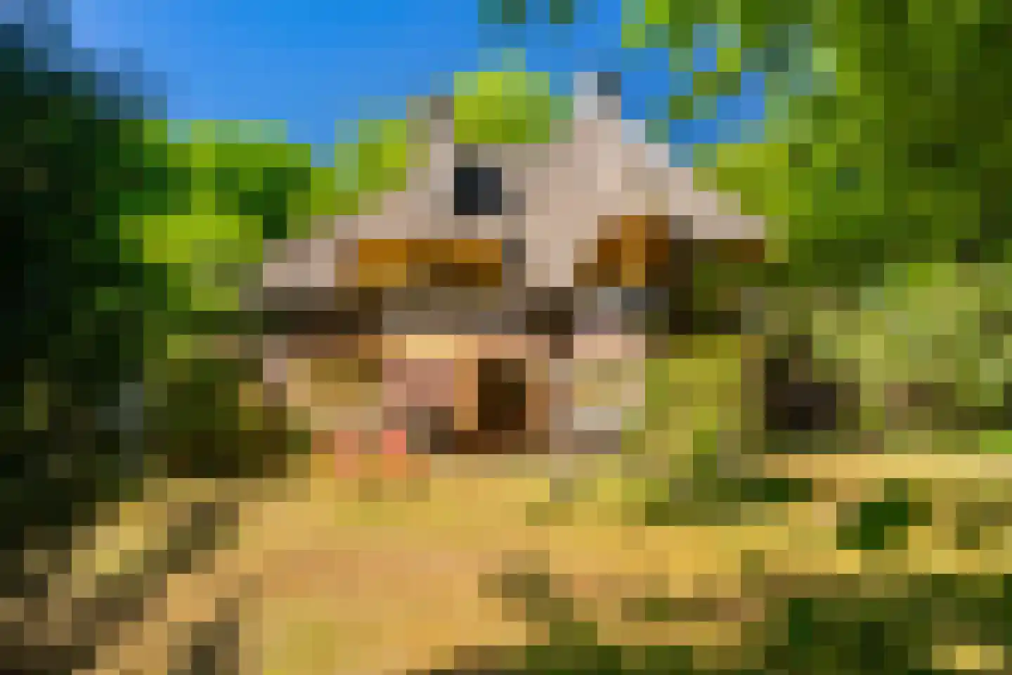 Studler van Surcklaan 17 Bergen (NH) thumbnail 33