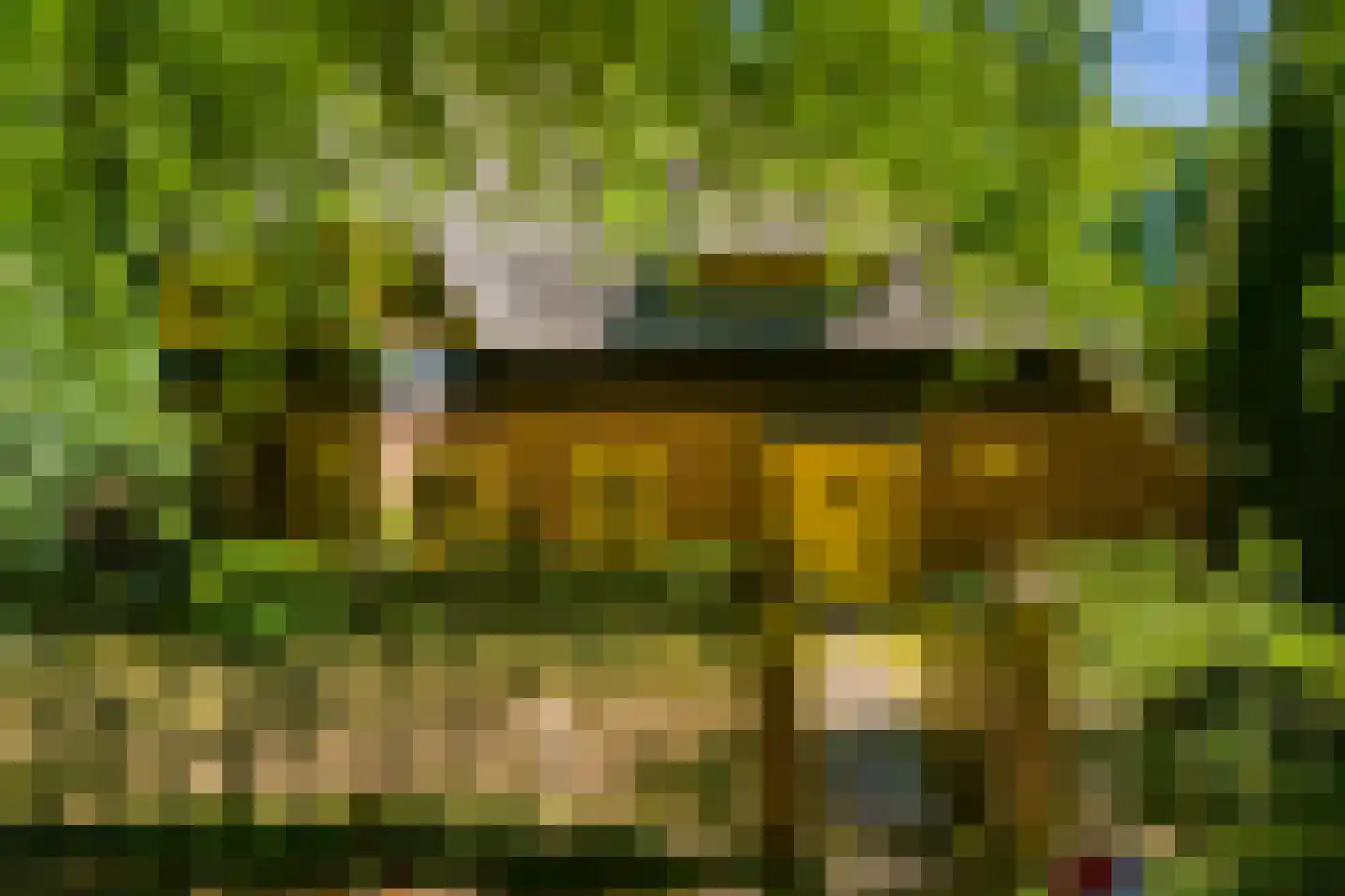 Studler van Surcklaan 17 Bergen (NH) thumbnail 4