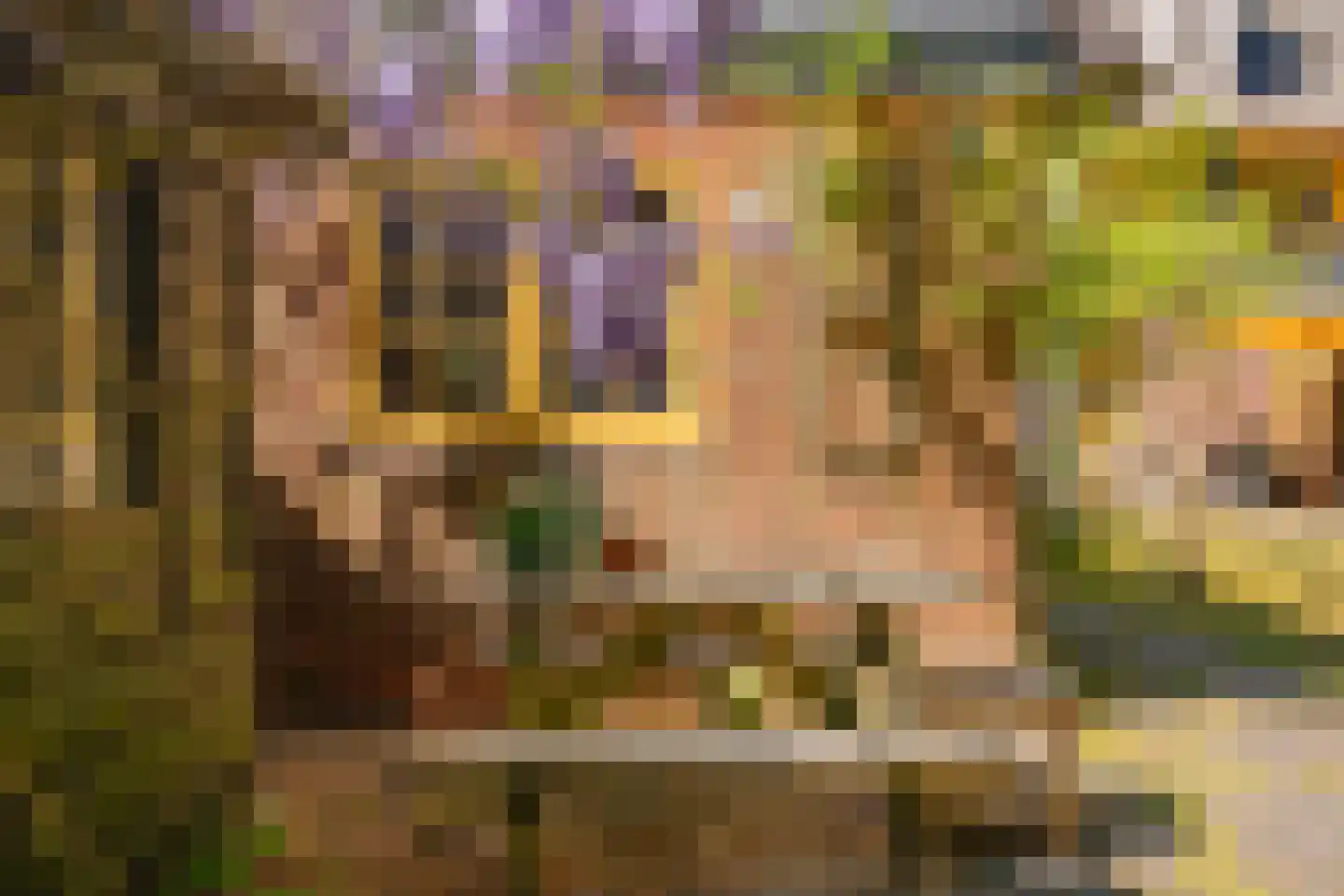 Studler van Surcklaan 17 Bergen (NH) thumbnail 51