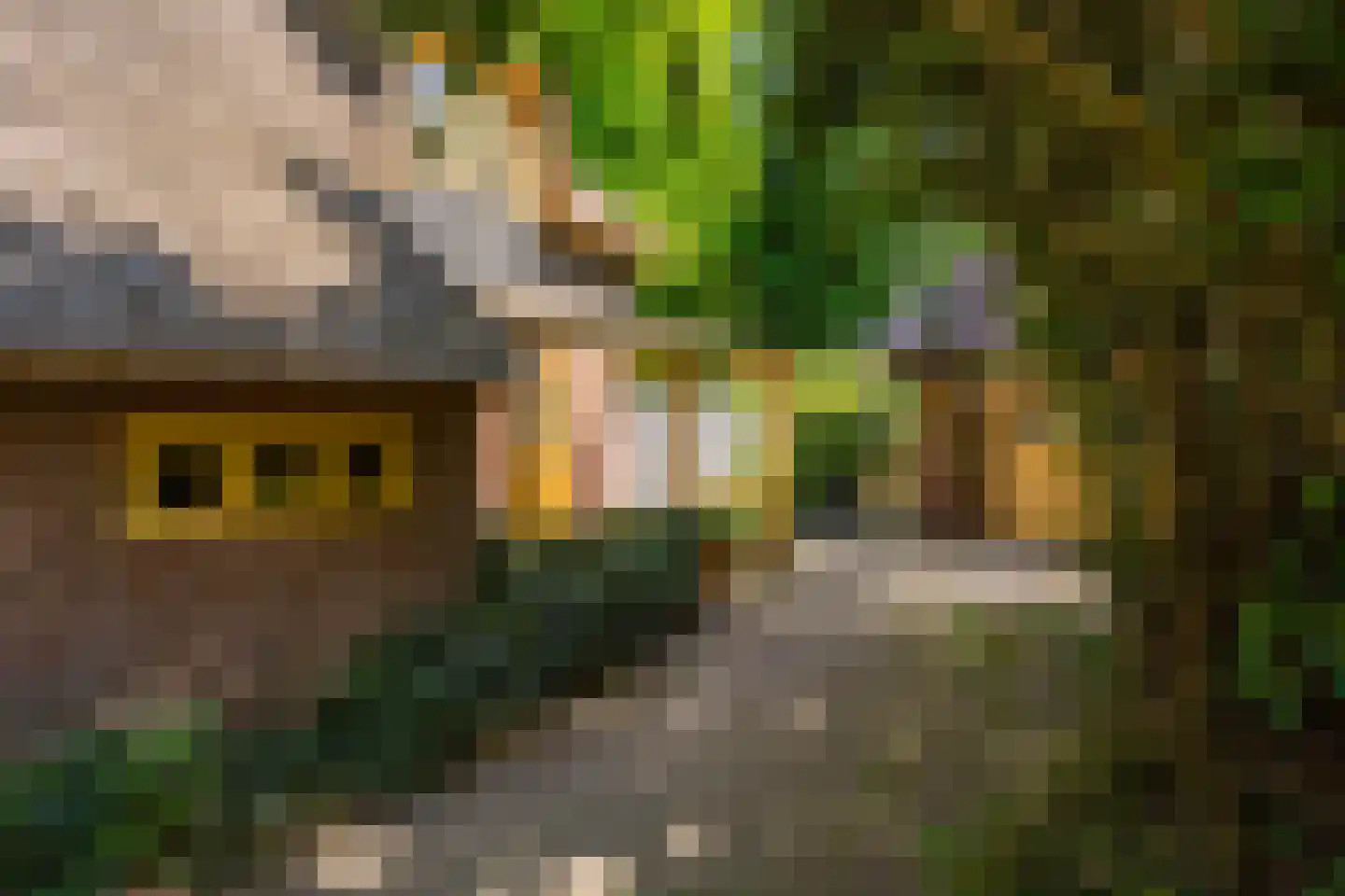 Studler van Surcklaan 17 Bergen (NH) thumbnail 7