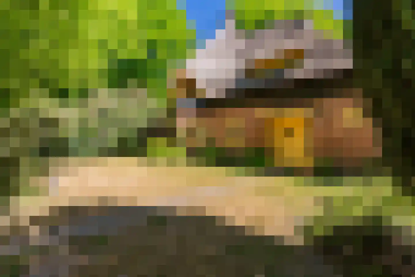 Studler van Surcklaan 17 Bergen (NH) thumbnail 8